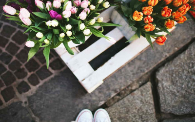 بیانات در دیدار نخبگان و استعداد‌های برتر علمی 